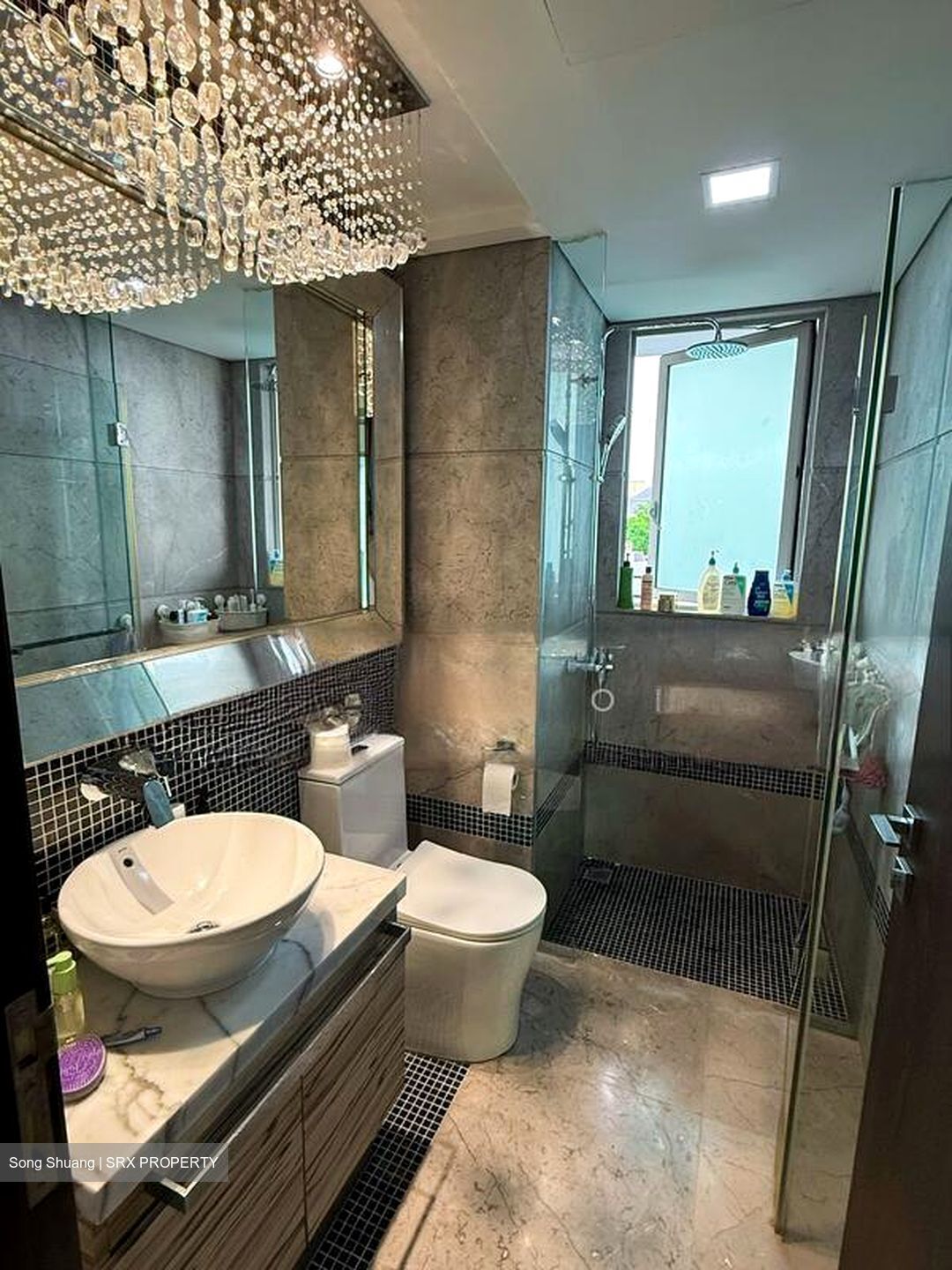 The Vision (D5), Condominium #502273421